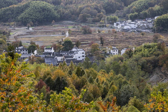 安徽芦村