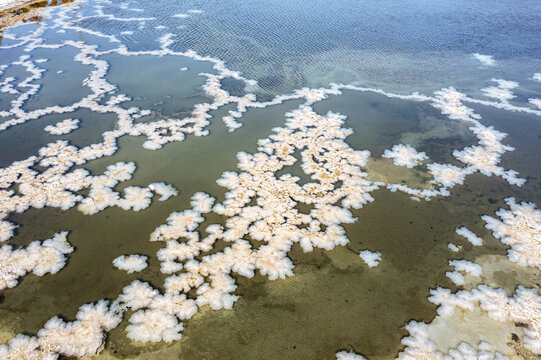 山西运城盐湖惊现硝花景观