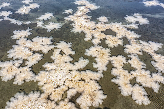 山西运城盐湖惊现硝花景观