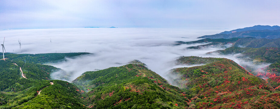 云海飘渺红叶似火美景