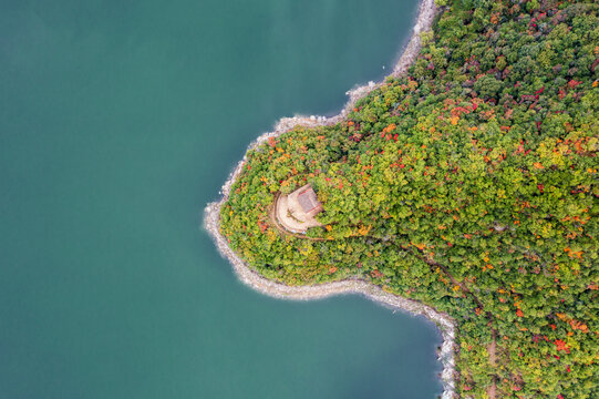 云海飘渺红叶似火美景