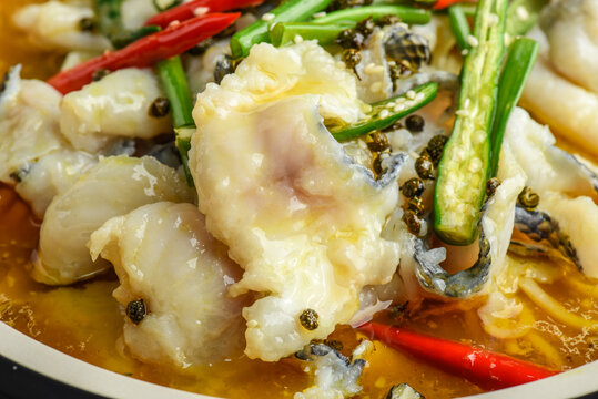 藤椒魚肉片