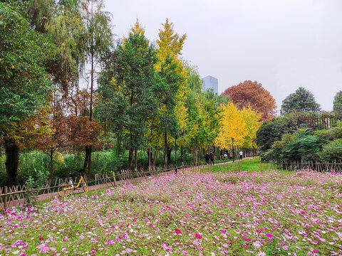 绿道花园和树