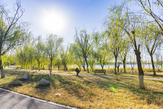 天津武清南湖公园秋季景观