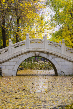 天津北宁公园秋季景观