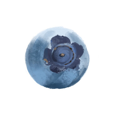 手繪藍莓