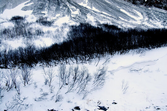 冬季被冰雪覆盖的长白山景色