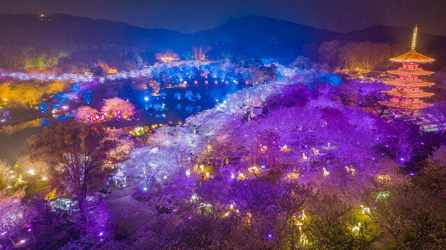 武汉东湖樱花园夜景