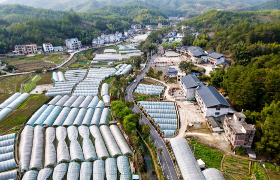 农村种植园