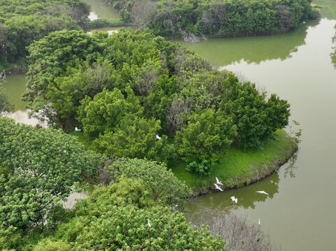 生态湿地