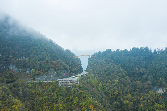 神农架天燕