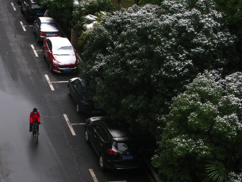 初雪