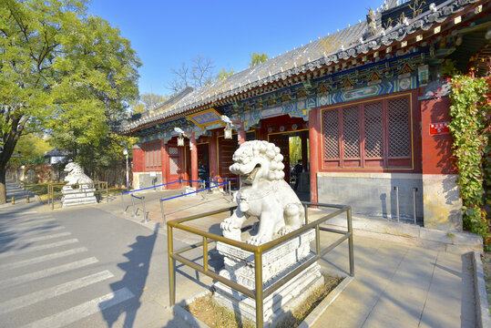 北京大学