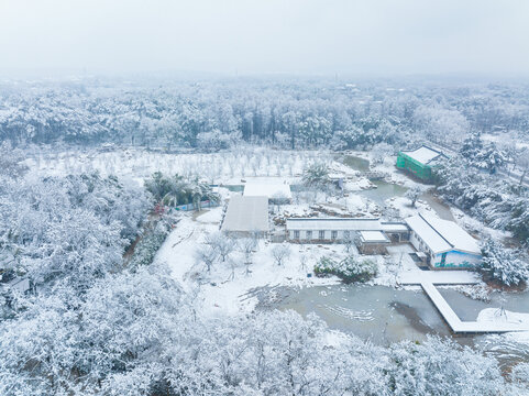 武汉东湖磨山风景区冬季雪景