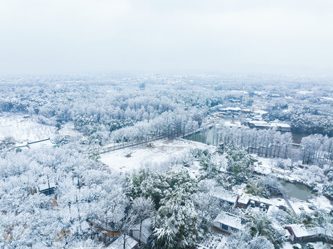 武汉东湖磨山风景区冬季雪景