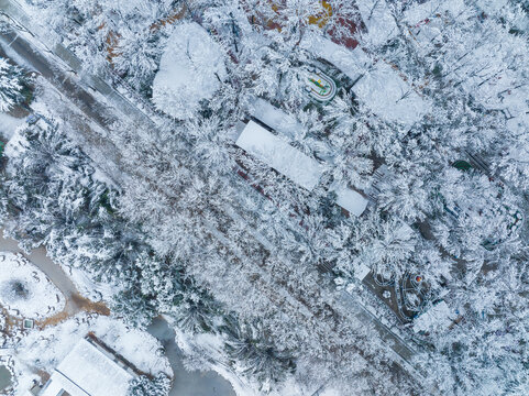 武汉东湖磨山风景区冬季雪景