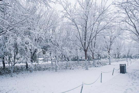 武汉东湖磨山风景区冬季雪景