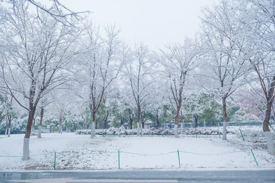 武汉东湖磨山风景区冬季雪景