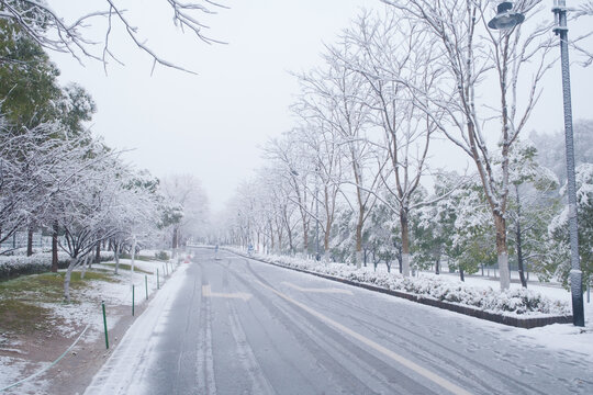 武汉东湖磨山风景区冬季雪景