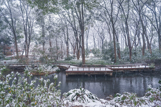 武汉东湖磨山风景区冬季雪景