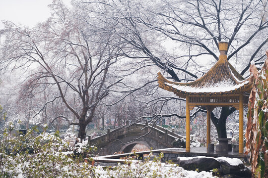 武汉东湖磨山风景区冬季雪景