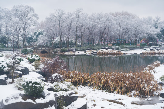 武汉东湖磨山风景区冬季雪景