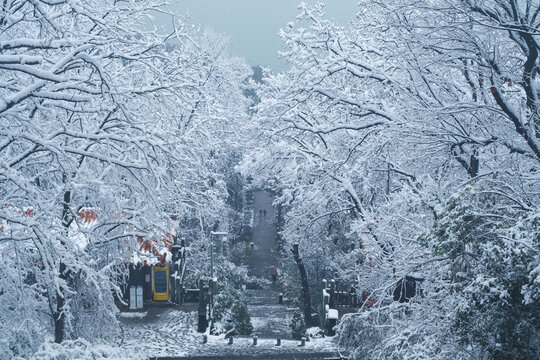 武汉东湖磨山风景区冬季雪景