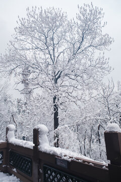 武汉东湖磨山风景区冬季雪景