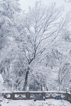 武汉东湖磨山风景区冬季雪景