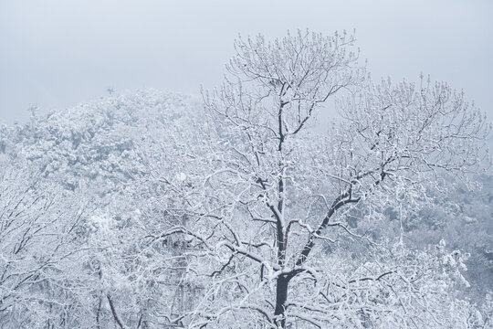 武汉东湖磨山风景区冬季雪景