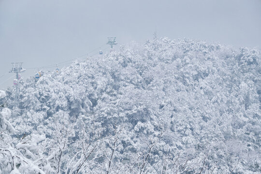 武汉东湖磨山风景区冬季雪景