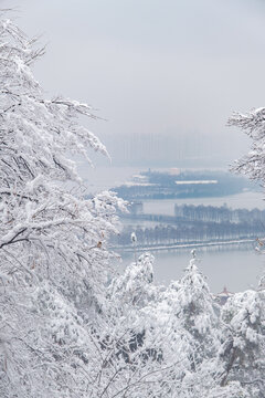 武汉东湖磨山风景区冬季雪景