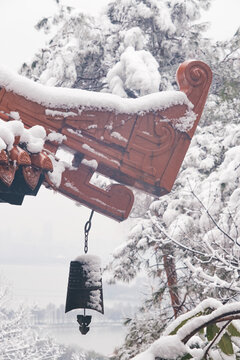 武汉东湖磨山风景区冬季雪景