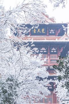 武汉东湖磨山风景区冬季雪景