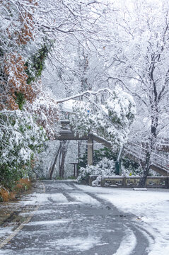 武汉东湖磨山风景区冬季雪景