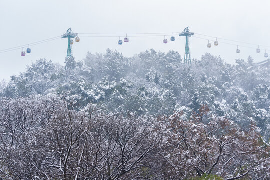 武汉东湖磨山风景区冬季雪景