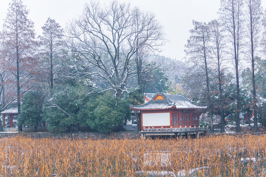 武汉东湖磨山风景区冬季雪景