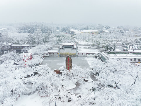 武汉东湖磨山风景区冬季雪景