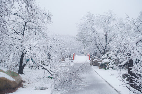 武汉东湖磨山风景区冬季雪景