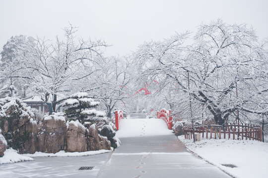 武汉东湖磨山风景区冬季雪景