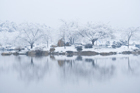 武汉东湖磨山风景区冬季雪景