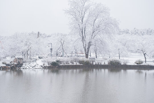 武汉东湖磨山风景区冬季雪景