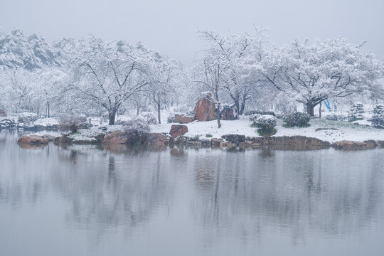 武汉东湖磨山风景区冬季雪景