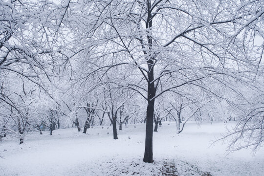 武汉东湖磨山风景区冬季雪景