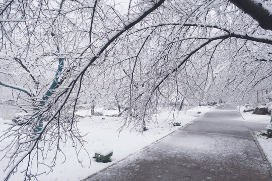 武汉东湖磨山风景区冬季雪景