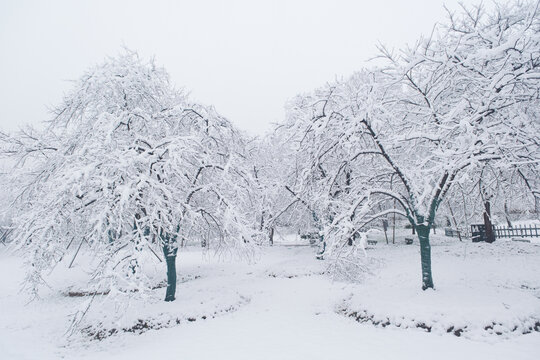 武汉东湖磨山风景区冬季雪景