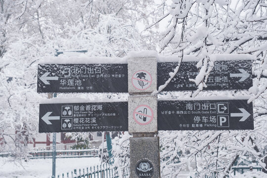 武汉东湖磨山风景区冬季雪景