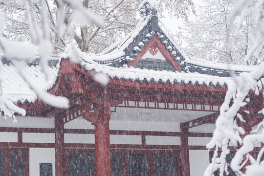 武汉东湖磨山风景区冬季雪景