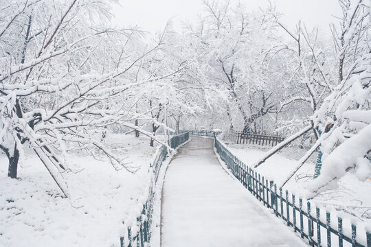 武汉东湖磨山风景区冬季雪景