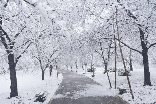 武汉东湖磨山风景区冬季雪景